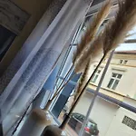 بيت ريفي Gaestehaus Kampik